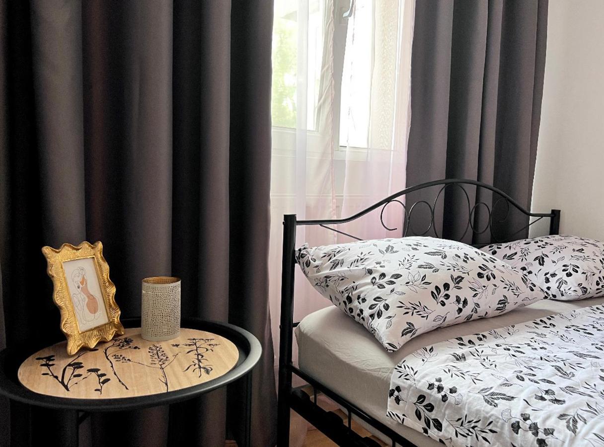 Cozy Apartment Turnu Măgurele 外观 照片