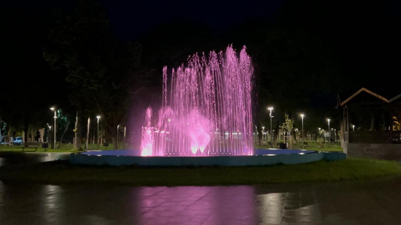 Cozy Apartment Turnu Măgurele 外观 照片
